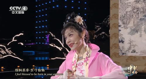 忐忑戏曲版什么节目好看一点