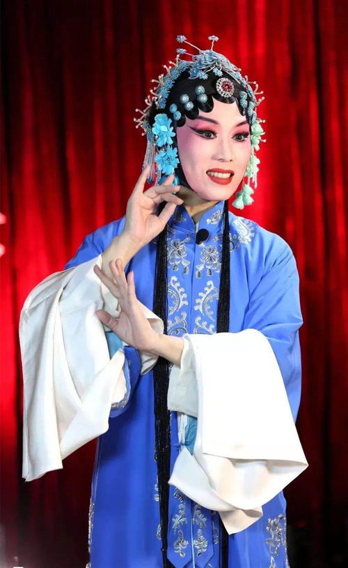 忐忑戏曲版什么节目好看啊