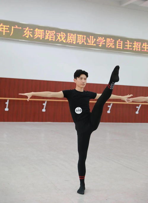 戏曲全场舞蹈是什么