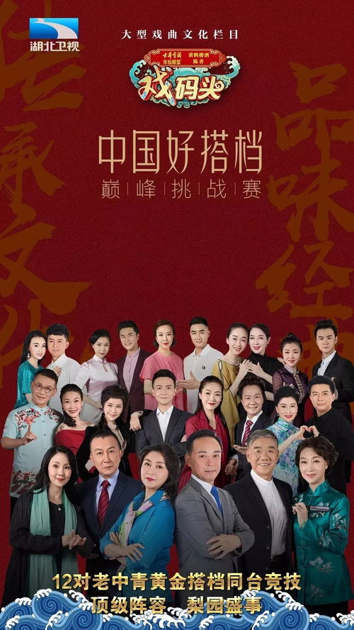 忐忑戏曲版什么节目好看