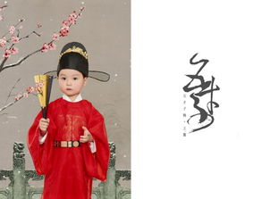各种戏曲的特点是什么