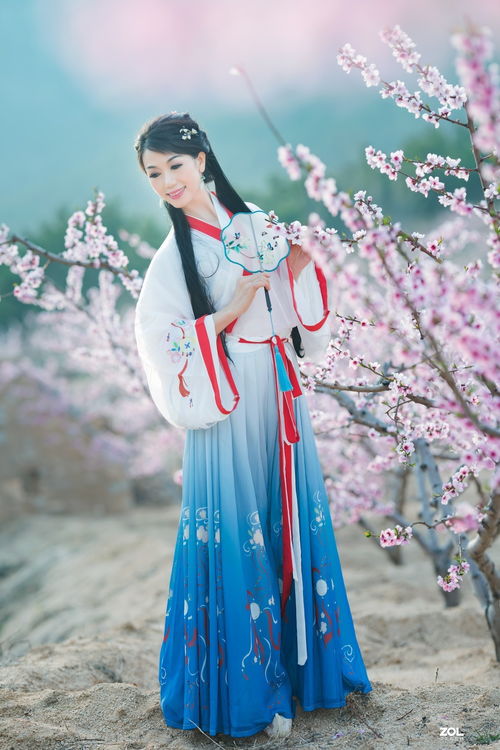 桃花笑里的戏曲是什么剧种