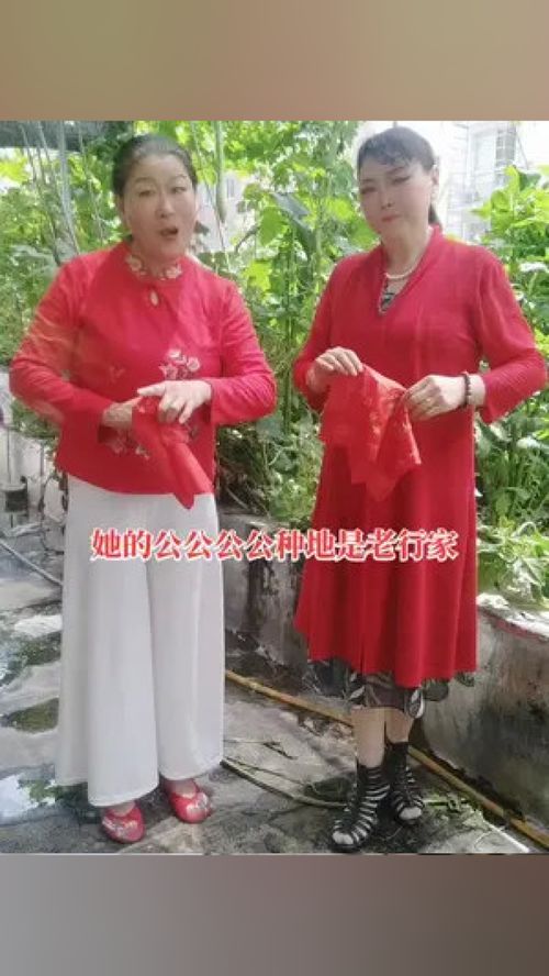 给家人的戏曲有哪些呢