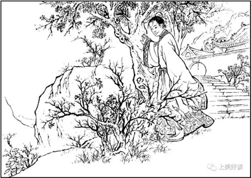 桃花扇属于哪种戏曲