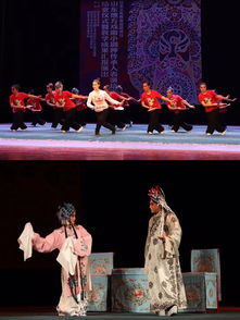 爱家戏曲是什么剧种啊