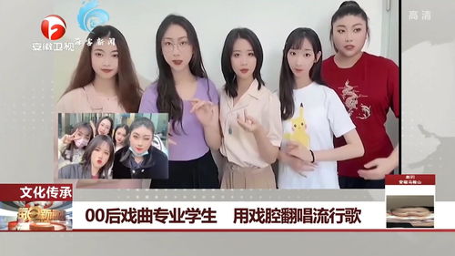 戏曲后边的长发叫什么