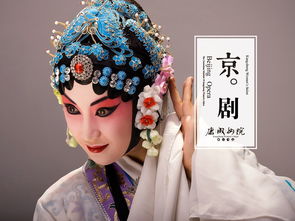 各种戏曲的特点是什么