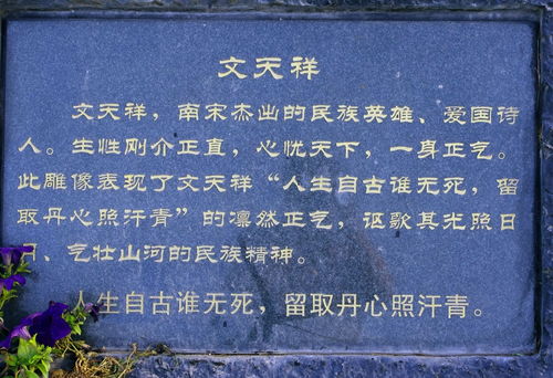 戏曲清官颂讲的是什么