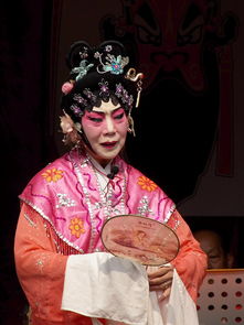 特写主要是拍什么戏曲