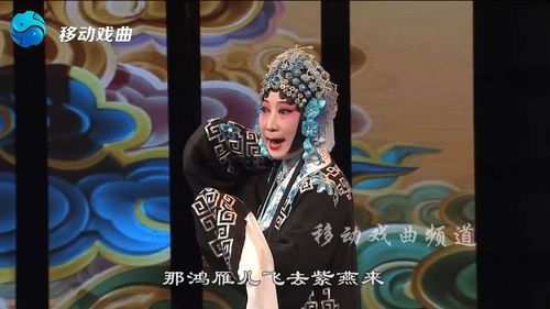 桃花庵戏曲故事情节
