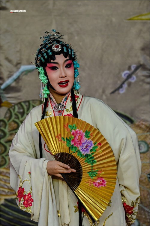 安徽对应的戏曲是什么戏种