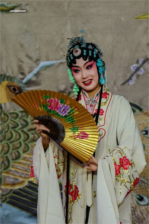 安徽对应的剧种是什么?