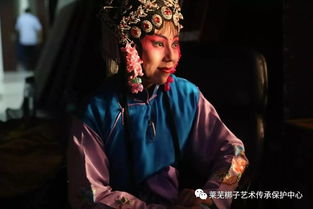 泰山有什么戏曲剧种吗